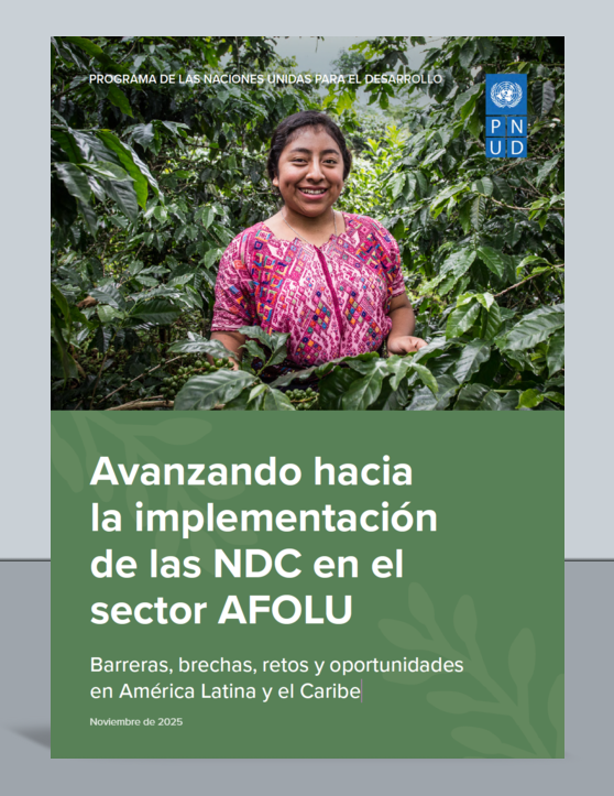 Avanzando hacia la implementación de las NDC en el sector AFOLU. Barreras, brechas, retos y oportunidades en América Latina y el Caribe