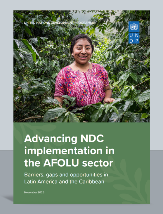 Advancing NDC implementation in the AFOLU sector. Barriers, gaps and opportunities in Latin America and the Caribbean