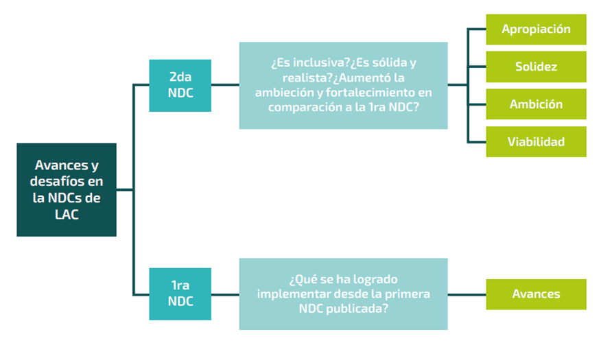 grafico