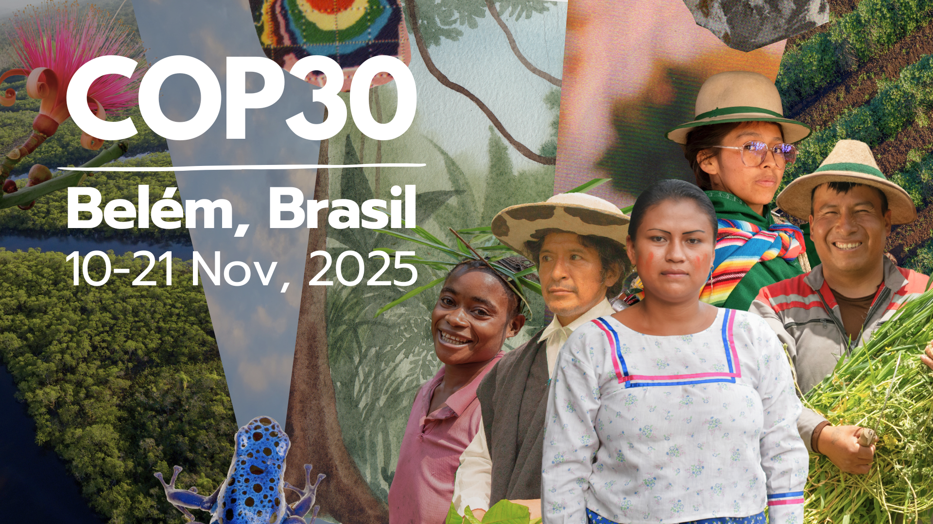 COP30: Conferencia de las Naciones Unidas sobre Cambio Climático